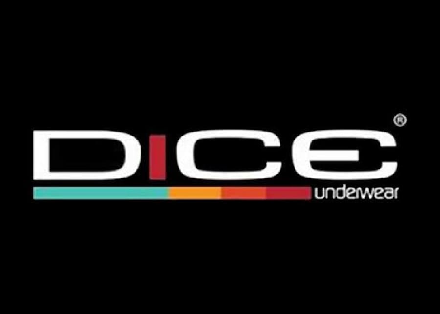 Dice sees 23.2% YoY lower consolidated profits in Q1 2025

